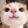 minh.nguyn7158
