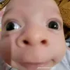mrhoang209