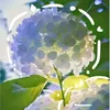 ly.phm794
