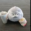mate_raul