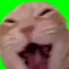 jacob_imtoocool