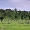 emad.mohammed53