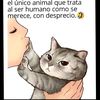 veronica.apaza.ve