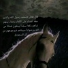 heba_amyl54