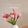 xylleshop