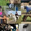 ponylifewithlizz