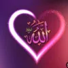 user2163761801928