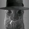 vzyllll