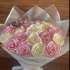 nour4393