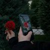 user4161165219251
