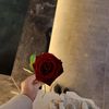 loly87079