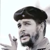 ali66664466