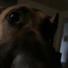 blake_0115a