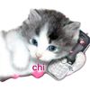 chi4163