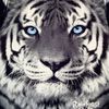 ralph.lopez49