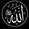 user8611198858348