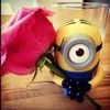yarendy8
