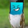 sryup_in_maple