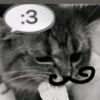 thiagoss223