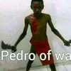 pedrinho.peclat6