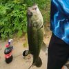 ronnies_fishing