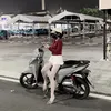 nhubeo55