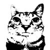 xxkitty_ggosth