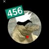 yooo4741