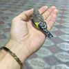 ramin_859