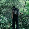 sal_gans14
