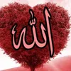 isha7620