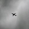 musa_knee67