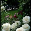 hanan.albasha