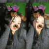 th.raraa1