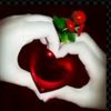 sujon.mea29