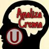 Analiza Crema