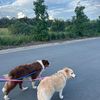 harry.and.nala