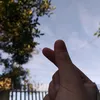 sigma_gurl28