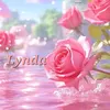 lyndashopping