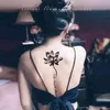 aristonquenny