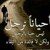 user7074283592835