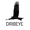 DRIBEYE | DRONE