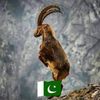 easakhan078