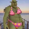 yayadrangonball