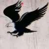 user2810116565908