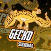 geckosudirman