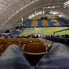 andressaucedo45