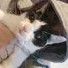 hanna_blablabla