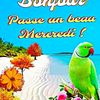 user8160088280134