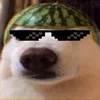 rainiervinc3